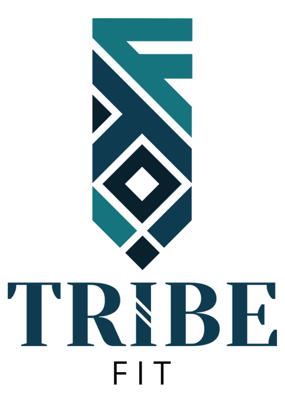 Web Developer at Tribe Fit